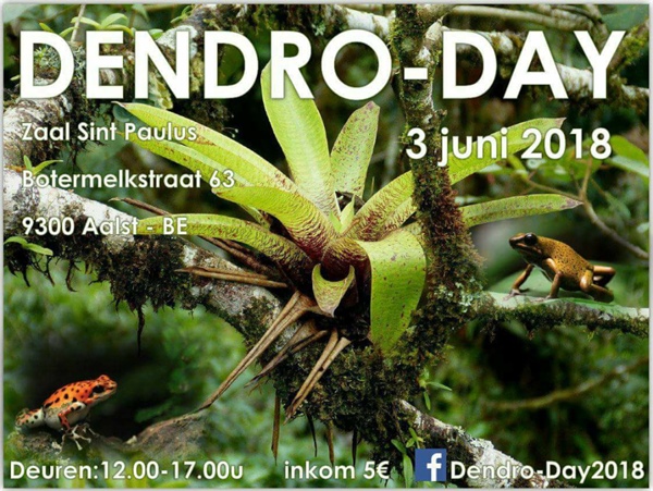 Dendro-Day België