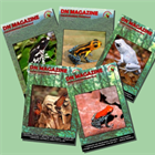 Dendrobatidae Nederland, English magazine