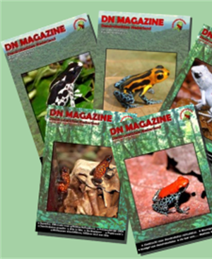 Dendrobatidae Nederland, English magazine