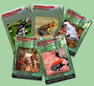 Dendrobatidae Nederland, English magazine