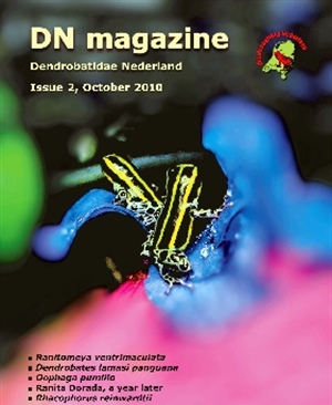 DN English Magazine issue 2