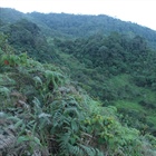 Voortgang Reserva Ranita Dorada