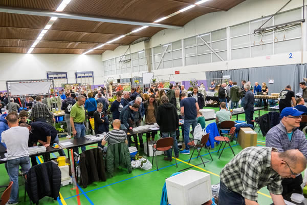 DN kikkerdag