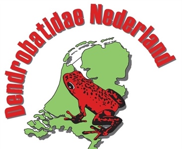 DN Symposiumdag 2019