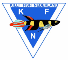 Killifish Nederland