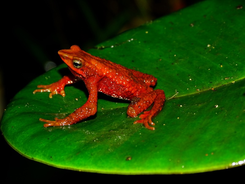 Sierra Nevada de Santa Marta