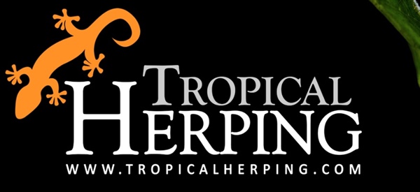 Donatie aan Tropical Herping